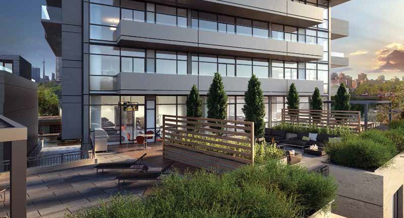 Rooftop at AYC Condos